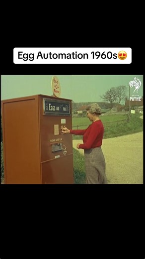Revolutionary Egg Vending Machine in the 1960s