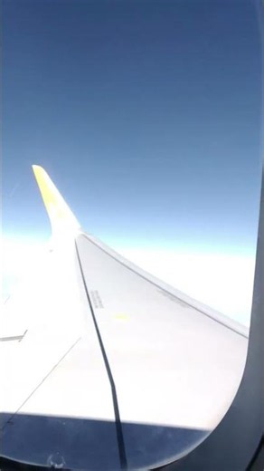 pegasus airlines is the best.