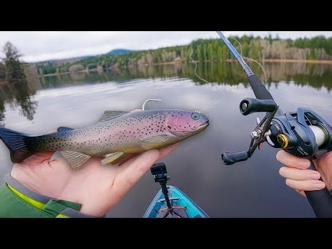 I Committed to an 8" Swimbait in the Dead of Winter