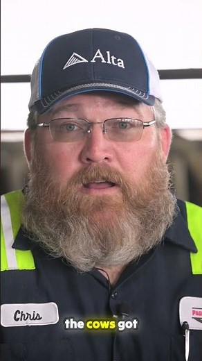 Revolutionizing Dairy Herd Management with Nedap Technology | Dairy Technology | Dairy Industry