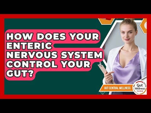 How Does Your Enteric Nervous System Control Your Gut? - Gut Wellness Central