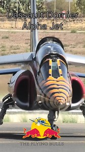Alpha Jet #aviation #aviationgeek #aviationdaily #aviationlife #aviationlovers #aviationphotography #Alphajet #redbull | Aviation MT