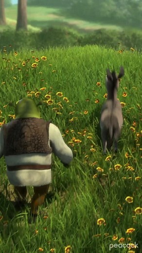 Donkey’s right, that IS a nice boulder #shrek #peacocktv #donkey #funny #comedy #fyp