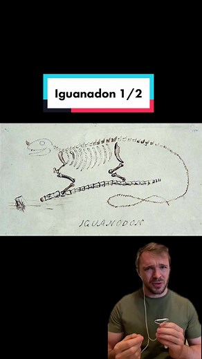 Exploring the Dense History of Iguanodon - A Brief Overview
