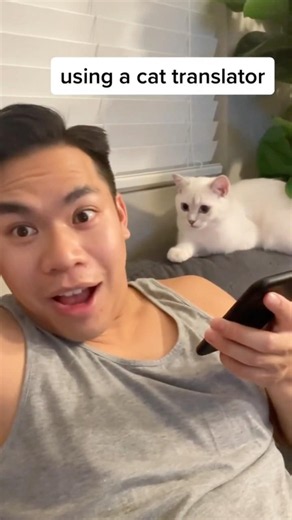 I’m trying to translate my words into cat language.