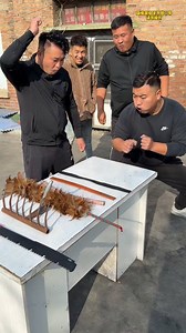 553K views · 9.5K reactions | ✅ Big brother will win if he takes it off the table. #funny #comedy #reels @topfans | FunqY | Facebook