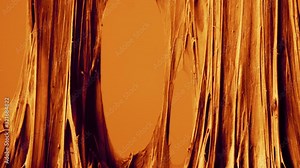 Stretching and rupture of ligaments and tendons during prolonged muscle load