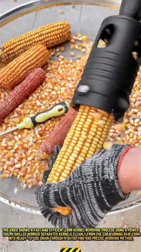 Power Tool Corn Shelling Process for Efficient Farm Work