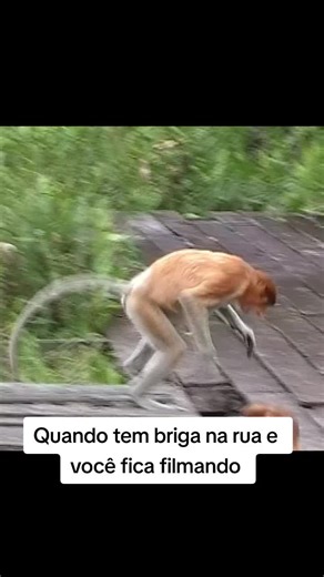 verdadeiro cabaré #meme2023🤣 #TikTokMeFezOuvir