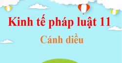 KTPL 11 Cánh diều | Giải bài tập Kinh tế pháp luật 11 (hay nhất, ngắn gọn) | Soạn Giáo dục KTPL 11 Cánh diều.