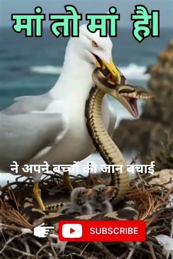 Bird vs snake 🦜vs🐍AI Short #birds #trending #viral