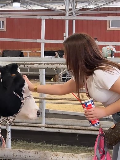 Dananeer Mobeen on Reels