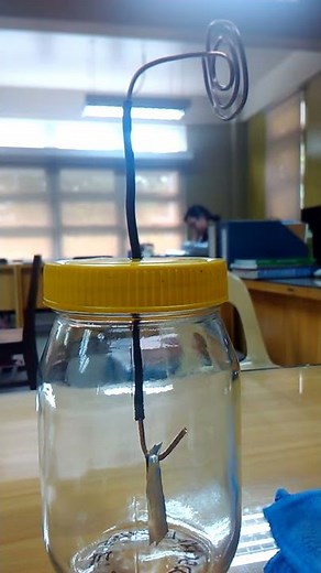 Electroscope Charging by Conduction