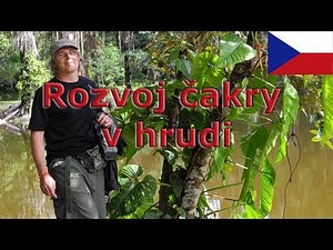 Petr Chobot - Meditace na rozvoj čakry v hrudi