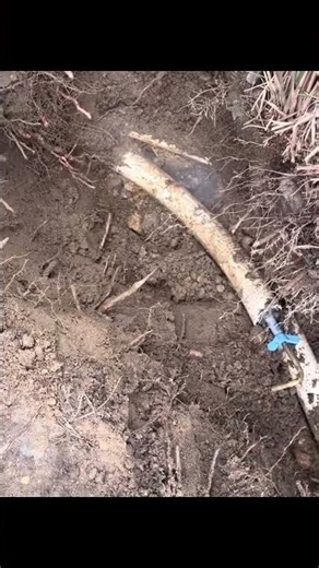 Return Line Leak Repair #leakdetection #poolrepair