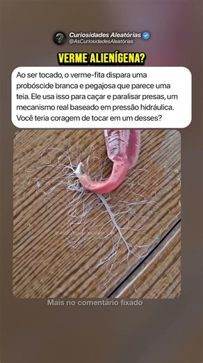 Verme Alienígena 🪱 #curiosidades #mistérios