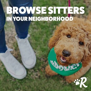303K views · 266 reactions | Loving pet sitters and dog walkers, ready when you need ‘em. | Rover.com | Facebook