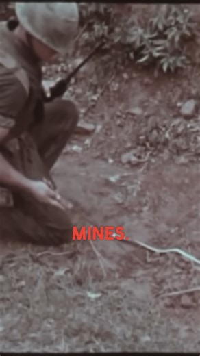 1.3K views · 30 reactions | Robert Ferguson was a young Marine officer, serving as a Forward Air Controller (FAC). In this clip, he recounts a brand new enlisted Marine who was *un-alived* while trying to disarm an enemy mine. Credit: The Vietnam Experience | Mike Guardia - Author | Facebook