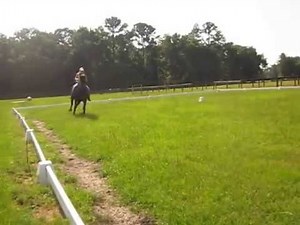 Rider Horsemanship - Trot/Canter Transitions with Sweet