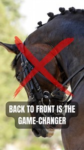 So many riders think riding from back to front starts with framing the neck. 🚫 It starts with energy from behind, flowing through the horse’s body, and only then do you receive it in your hand. ✅ Relaxed horse first ✅ Activate the hind legs ✅ Let energy flow through the body to the hand ✅ Ride the body to the head, not the head to the body Mastering back-to-front riding is the foundation of a balanced, supple horse. Be honest, do you ride from back to front? #rsriding #classicaldressage #klassi