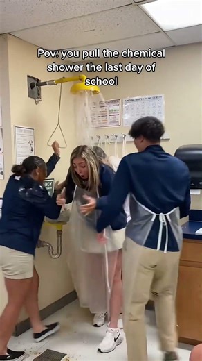 Never Knew Labs Had These for a Reason #safety #shorts