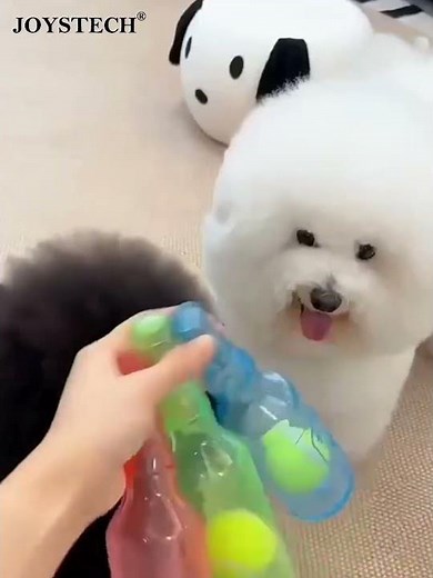 JOYSTECH 犬 おもちゃ 犬 音の出るおもちゃ 噛むおもちゃ#犬 #ペット #おも：https://www.amazon.co.jp/dp/B0DM1GJMZH/