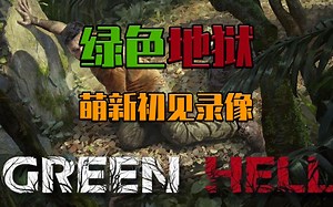 【完整版视频】绿色地狱故事模式萌新开荒录像 GreenHell（完结）