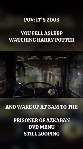 Only 2000s kids remember this Harry Potter DVD menu 😭