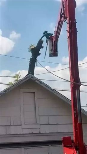 KD Tree Service Omaha | Behind the home. Tight clearance. Expert execution 🌳✔️ This tight-space tree removal required experience, planning, and the right... | Instagram