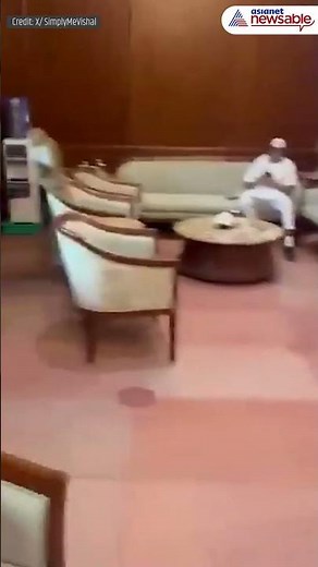 Viral Video | Monkey Seen Sitting On Chair In Parliament Lobby | Asianet Newsable
