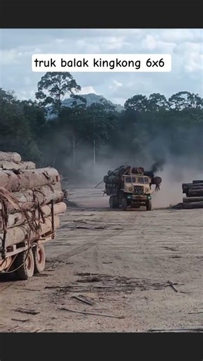 King Kong truck activity loading and unloading wood||#viral #viralvideo #shorts #shortvideo #shor...