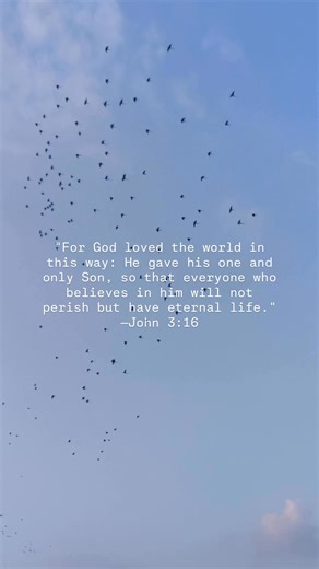 In today’s Advent reading, we’re reminded of the kingdom of God, long anticipated throughout the Old Testament—a kingdom where captives are set free, the broken are healed, and light triumphs over darkness. This kingdom was brought to earth through Jesus’s work and teaching. 🕯️✨ | She Reads Truth