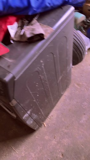 Vaccinating Pigs: Fun Experiences on the Farm