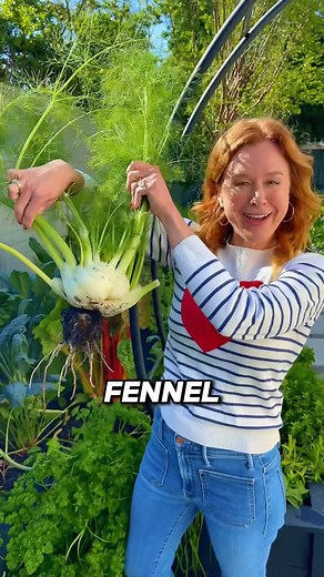 Growing Fennel with Heather from @monarchgardenco | Texas Garden Guy