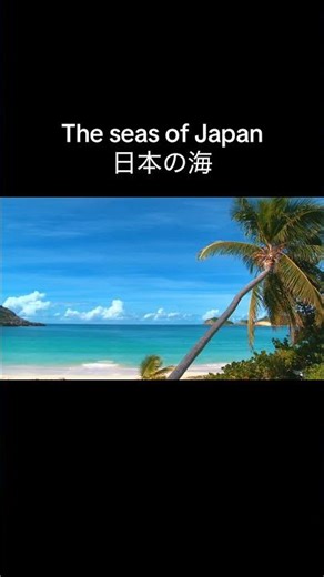 The seas of Japan｜日本の海