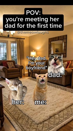 CAT MEMES 😼 when you met her dad for the first time #catmemes #youtubeshorts #shorts
