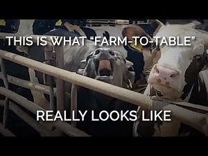 This Is What “Farm-To-Table” Really Looks Like