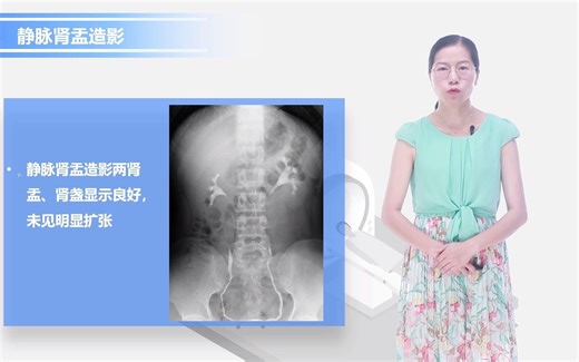 21-泌尿生殖系统X线解剖
