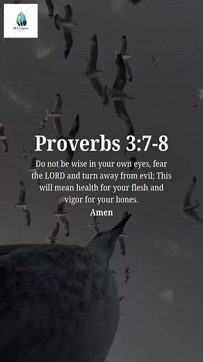 Proverbs 3:7-8 Do not be wise in your own eyes, fear the LORD and turn away from evil; This will mean health for your flesh and vigor for your bones. Amen #chistianity #catholic #jesus #faithinspired #christian #bible #god #faith #jesuschrist #church #christ #love #prayer #gospel #bibleverse #holyspirit #godisgood #pray #truth #hope #scripture #blessed #worship #amen #likes #followme #cross #sky #bird #birds | Bambang Sugiarto Micha Djaja