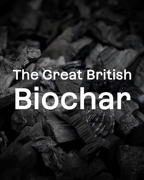 The Great British Biochar 🇬🇧 #carbon #biochar #climateaction #gbbo #greatbritishbakeoff