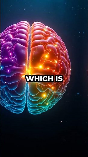 Your Brain Uses Different Routes to Learn and Remember! 🧠✨