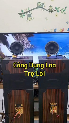 Test cặp loa trợ lời tại Eway301 #meohayaudio #eway301 #loatroloi | Thắng Mê Loa
