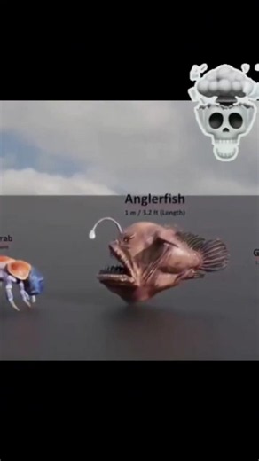 Legendary sea monsters size Comparison 2025 3D Animation Comparison #trollface #anime #usa #viral