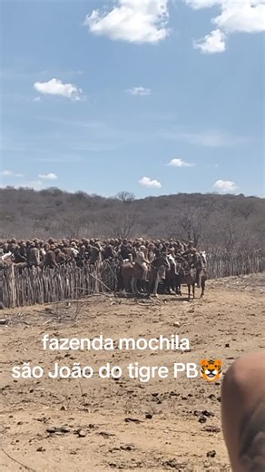 Os vídeos de Mariza Fernanda (@.fernanda.souza) com Flor do Vaqueiro - FLAGUIM MORAL