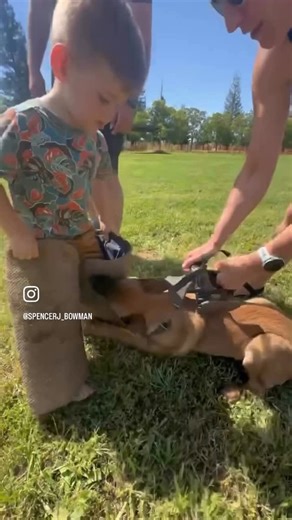 Spencer Bowman on Instagram: "The amount of stupid comments I get on these posts saying I’m teaching dogs to bite kids or CPS should be called 🤦‍♂️ If you think this you are dumb and part of the worlds problems and should learn to ask questions when you know nothing not pretend to be an expert … To clarify for those people …this is sport dog training not real protection work the “sleeve” is a giant tug of war game nothing more and my son loves to play it with puppies as he has grown up around t