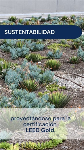 La nueva Embajada de EE. UU. en México fue diseñada como un espacio moderno, funcional y sustentable para la diplomacia y el servicio al público. 🇺🇸🇲🇽 Desde su campus de 3.4 hectáreas hasta sus 81 ventanillas consulares, el complejo integra diseño, sustentabilidad, arte y colaboración para fortalecer el vínculo entre Estados Unidos y México. Conocela en cifras. 👇 | Embajada Estados Unidos en México