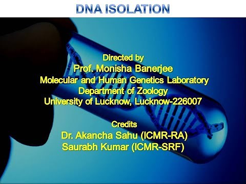Manual DNA isolation by Salting out method Part 1