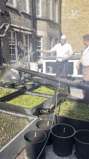 3K views · 112 reactions | Behind the scenes at the VSC… magic is...