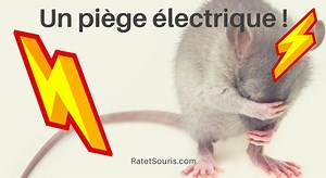 Fabriquer un piège à rat électrique