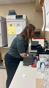 Now through #LaborDay weekend, the #WakeCounty Water Quality Lab is testing water at local lakes and recreational areas for bacteria. 🧪 Results are posted weekly at wake.gov/beach. Check the latest updates before you swim to make sure the water is clean and safe for you and your family. 🏊 | Wake County Government